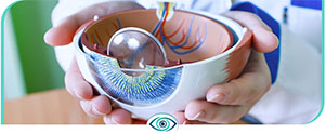 Ocular Disease Specialist - Dr. Michael Smith, OD