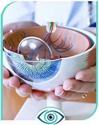 Ocular Disease Specialist in Nicetown, CA 